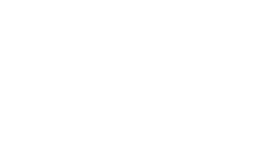 Daxeed Carnitina Forte : 