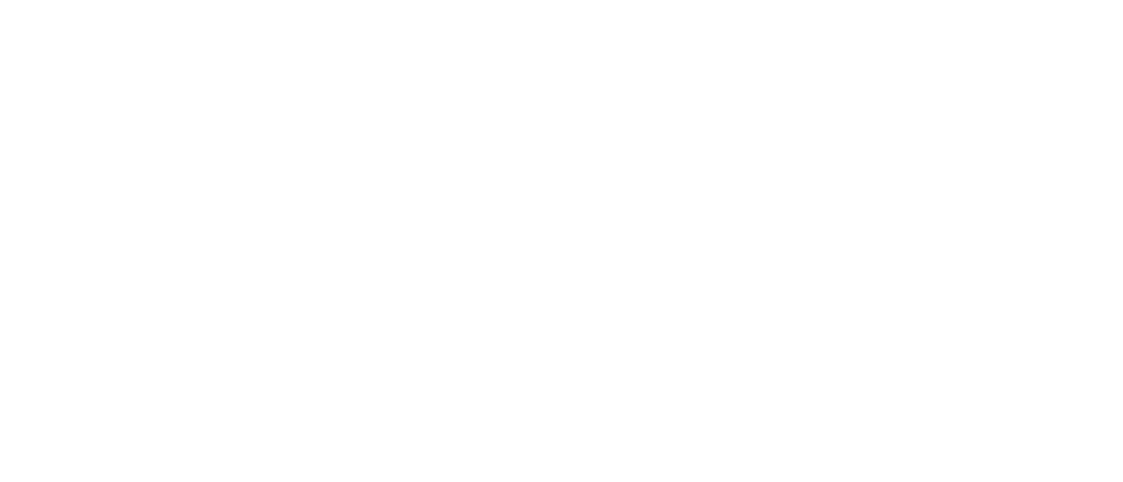 Nukispa : 